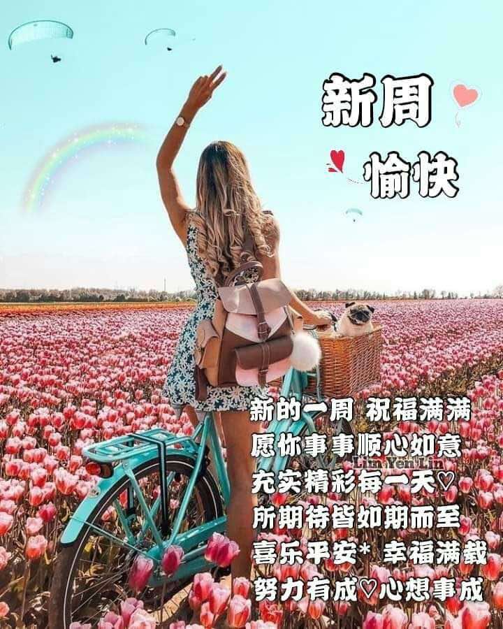 6BtgTbSpeAPfUeuNZC6IRYDNkOJ3_1573430062567_126e5309-8a60-438c-b29c-fd7be40a0666.jpg