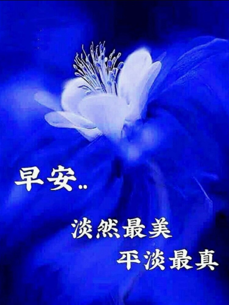 EACihalCxHS0vAR7lH0nsUwonsM2_1573426934485_c1b8785b-db81-4b6d-9b8b-998668920902.jpg